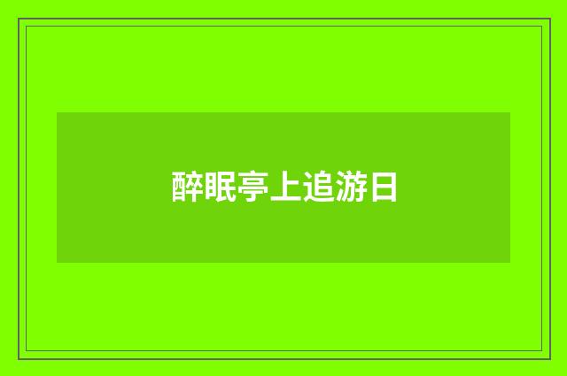 醉眠亭上追游日