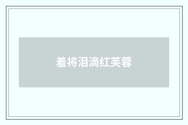 羞将泪滴红芙蓉