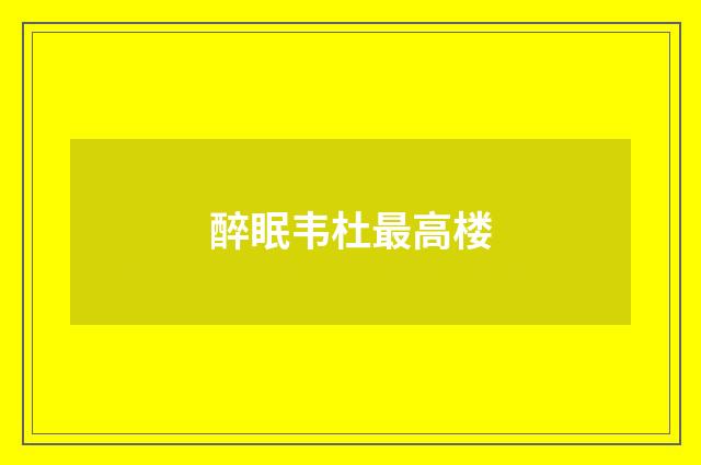 醉眠韦杜最高楼