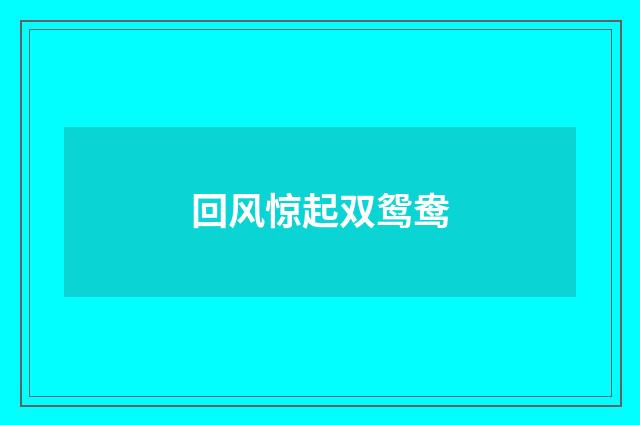 回风惊起双鸳鸯
