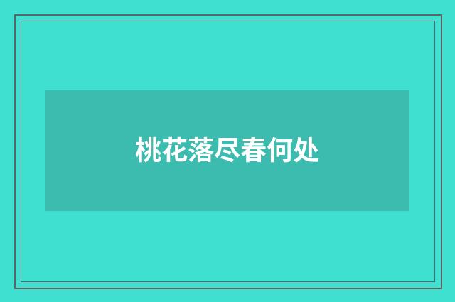 桃花落尽春何处