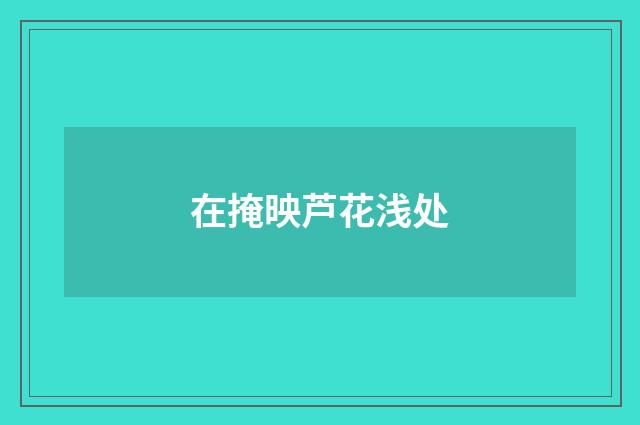 在掩映芦花浅处