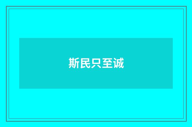 斯民只至诚