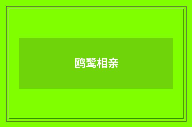 鸥鹭相亲