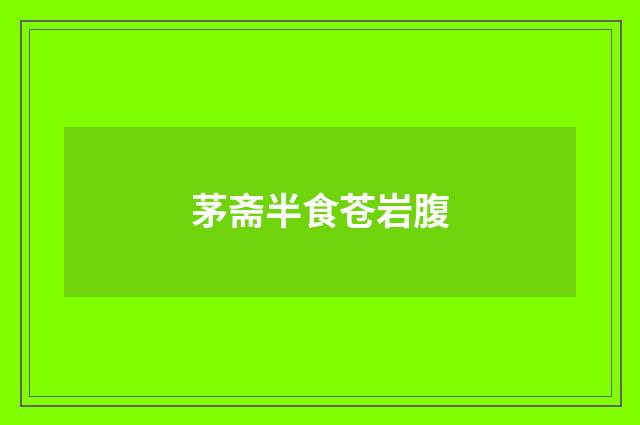 茅斋半食苍岩腹