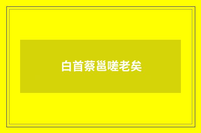 白首蔡邕嗟老矣