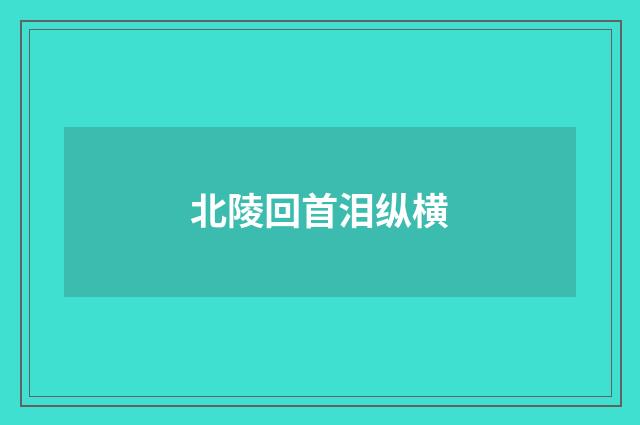 北陵回首泪纵横