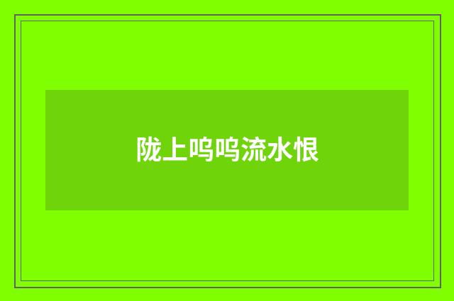 陇上呜呜流水恨