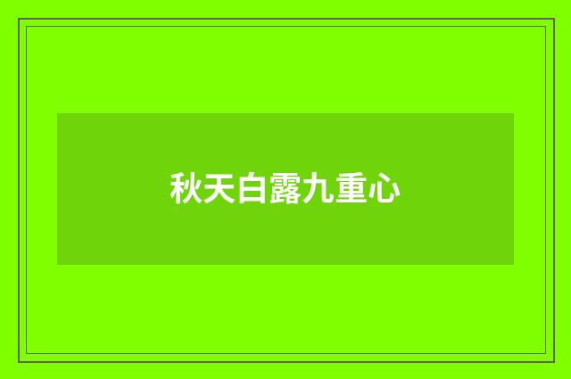 秋天白露九重心