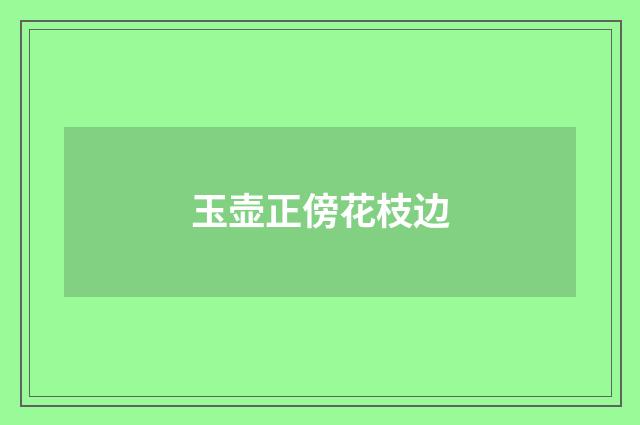 玉壶正傍花枝边