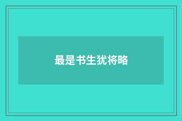 最是书生犹将略