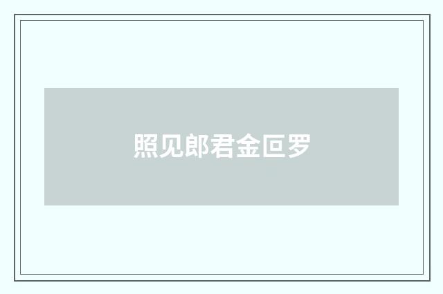 照见郎君金叵罗
