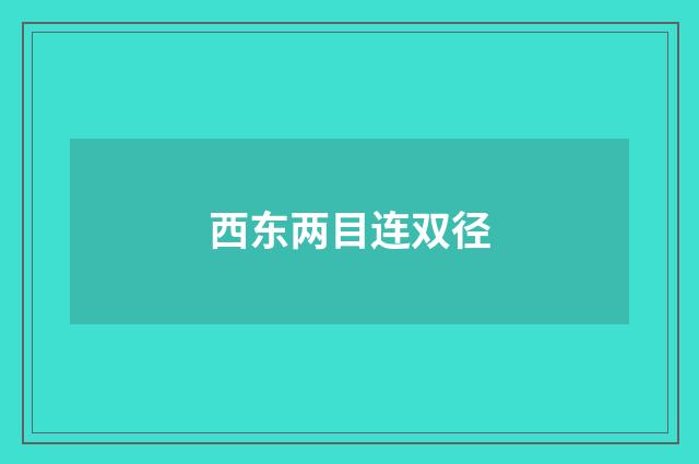 西东两目连双径