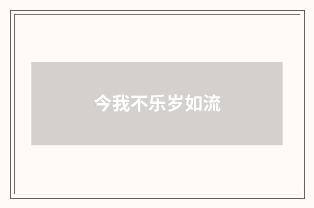 今我不乐岁如流