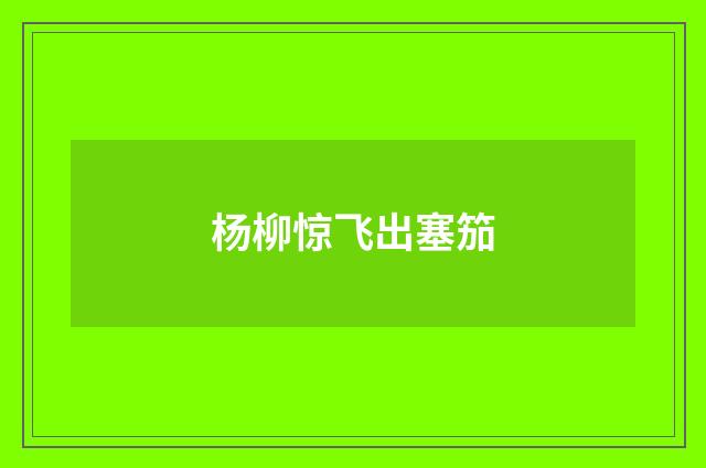 杨柳惊飞出塞笳