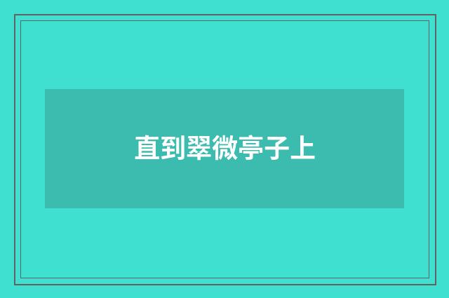 直到翠微亭子上