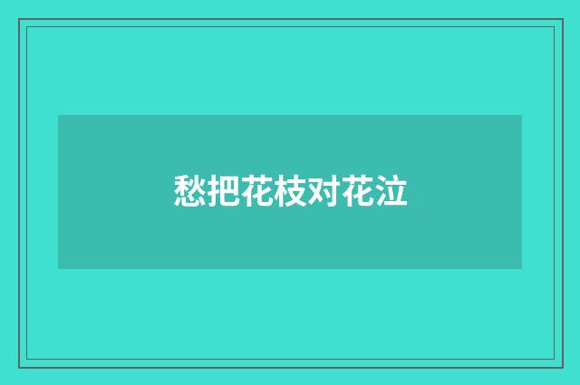 愁把花枝对花泣