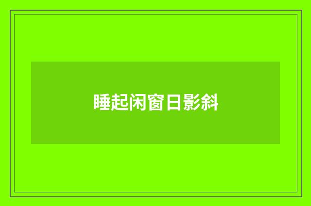 睡起闲窗日影斜