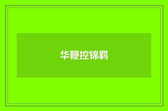 华鞭控锦羁