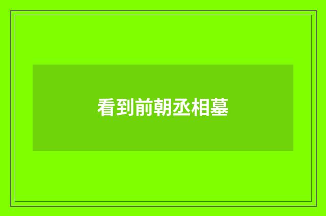 看到前朝丞相墓