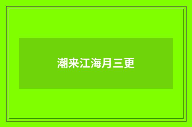 潮来江海月三更