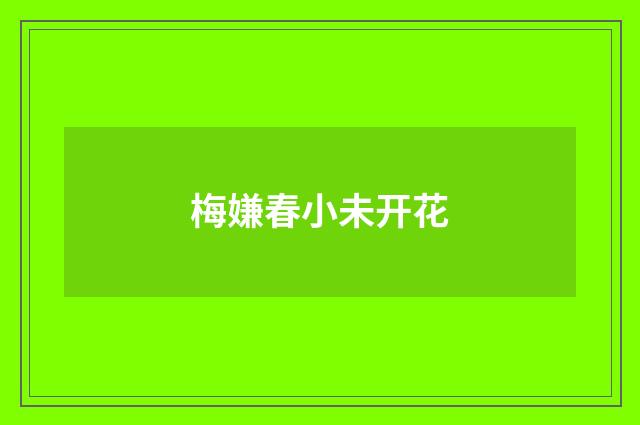 梅嫌春小未开花