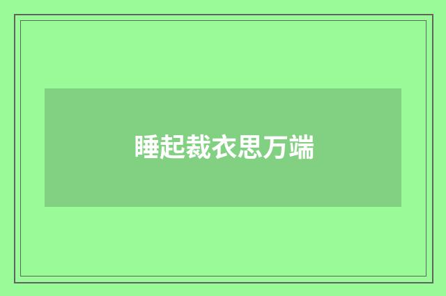 睡起裁衣思万端