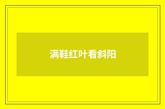满鞋红叶看斜阳