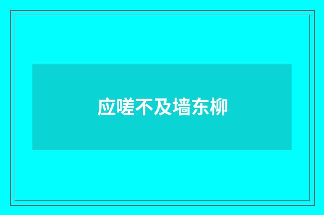 应嗟不及墙东柳