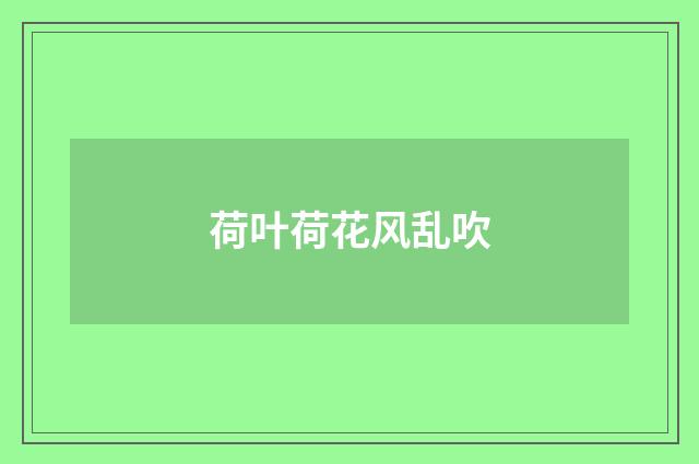 荷叶荷花风乱吹