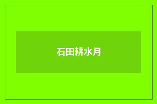 石田耕水月