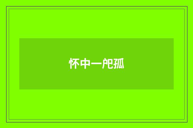 怀中一戺孤