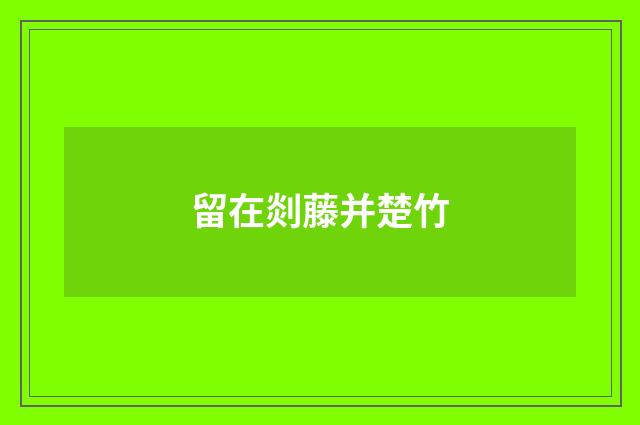 留在剡藤并楚竹