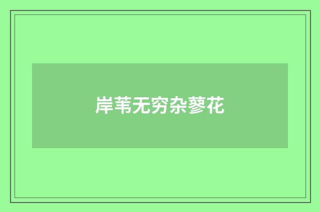 岸苇无穷杂蓼花