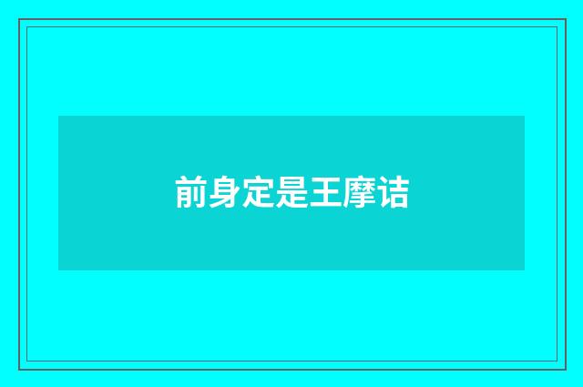 前身定是王摩诘