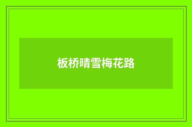 板桥晴雪梅花路