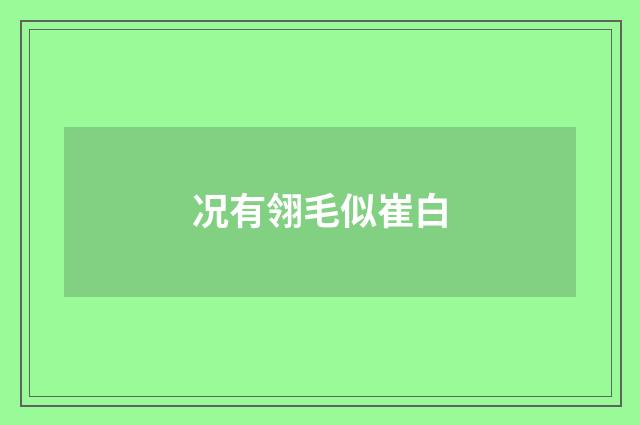 况有翎毛似崔白