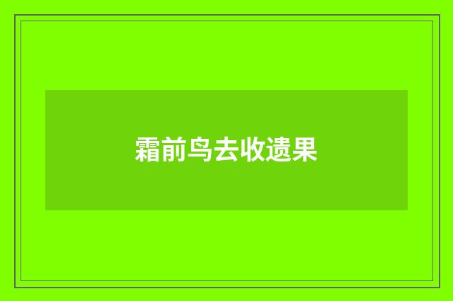 霜前鸟去收遗果