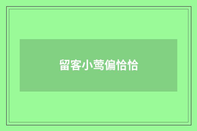 留客小莺偏恰恰