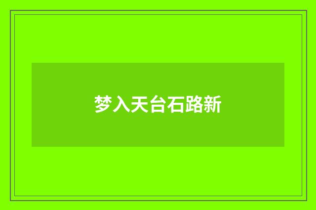 梦入天台石路新