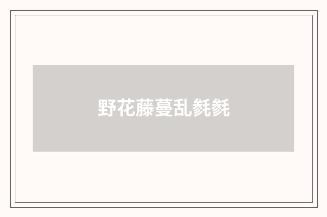 野花藤蔓乱毵毵