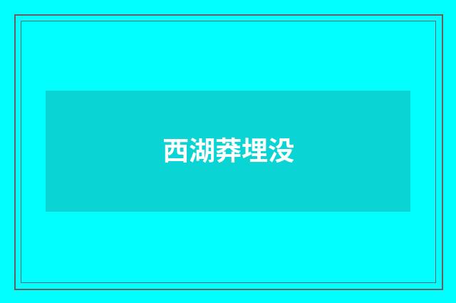 西湖莽埋没