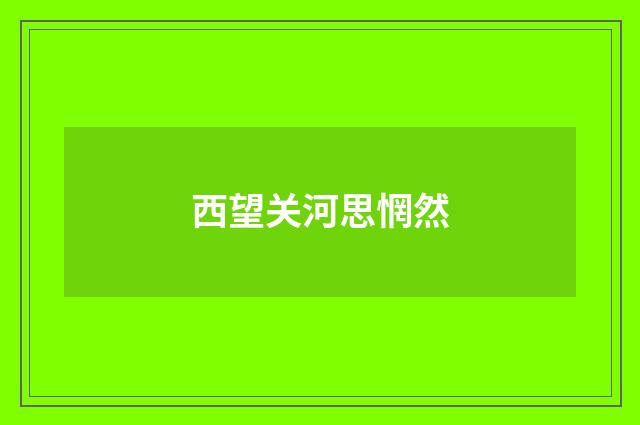 西望关河思惘然