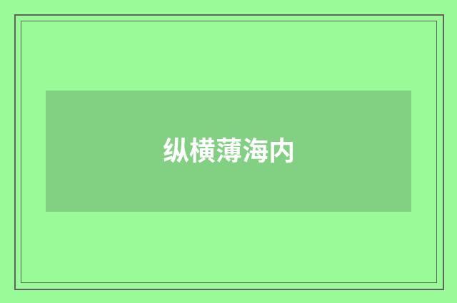 纵横薄海内