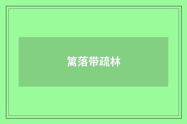 篱落带疏林