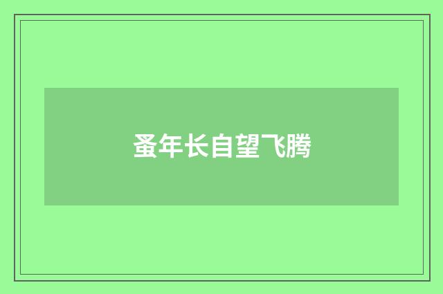 蚤年长自望飞腾