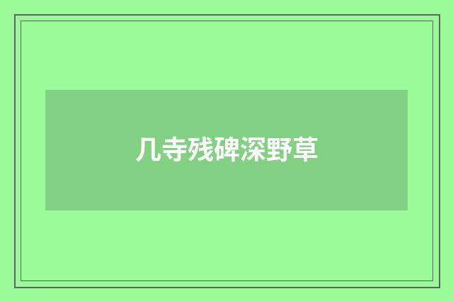 几寺残碑深野草