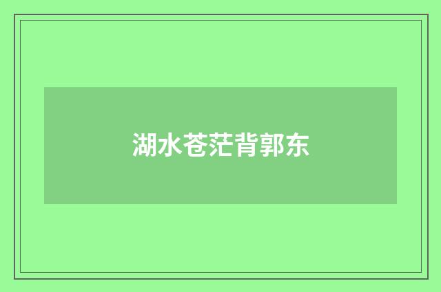 湖水苍茫背郭东