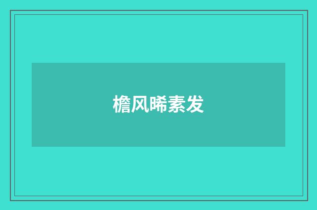 檐风晞素发