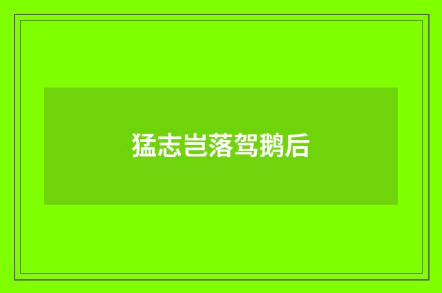 猛志岂落驾鹅后